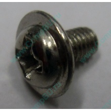 Компьютерный винт "малый" PW-M3x6mm (Воскресенск)