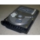 Жесткий диск 18.4Gb Quantum Atlas 10K III U160 SCSI (Воскресенск)