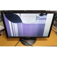ViewSonic VA2413WM-2 разбитая матрица (Воскресенск)