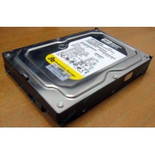 Жесткий диск 160Gb WD WD1602ABKS SATA (Воскресенск)