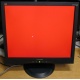 Монитор 19" ViewSonic VA903b (1280x1024) есть битые пиксели (Воскресенск)