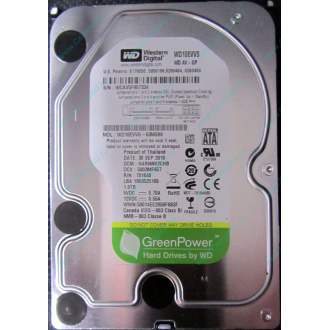 Б/У жёсткий диск 1Tb Western Digital WD10EVVS Green (WD AV-GP 1000 GB) 5400 rpm SATA (Воскресенск)