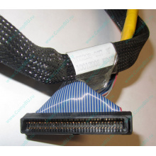 Кабель SCSI HP 166298-037 для HP ML370 G4 (Воскресенск)