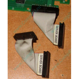 6017B0045701 Шлейф 24 pin для Intel C74974-401 T0043401-B01 корпуса SR2400 (Воскресенск)