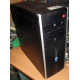 БУ компьютер HP Compaq Elite 8300 (Intel Core i3-3220 (2x3.3GHz HT) /4Gb /250Gb /ATX 320W) - Воскресенск