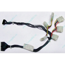 59P4789 FRU 59P4792 в Воскресенске, кабель IBM 59P4789 FRU 59P4792 для серверов X225 (Воскресенск)