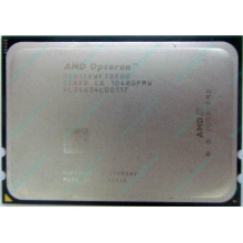 Процессор AMD Opteron 6128 (8x2.0GHz) OS6128WKT8EGO s.G34 (Воскресенск)