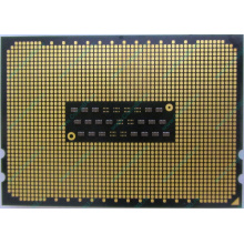 AMD Opteron 6128 OS6128WKT8EGO (Воскресенск)